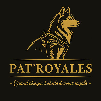 Harnais Personnalisé Pat’Royales – Sécurité et Élégance pour Chiens