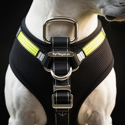 Harnais Personnalisé Pat’Royales – Sécurité et Élégance pour Chiens